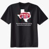 Ladies Perfect T Cotton T Shirt Thumbnail